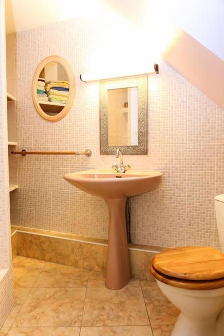 Charmante Maison Jardin A 100 Metres Du Clos Luce أمبُواز المظهر الخارجي الصورة